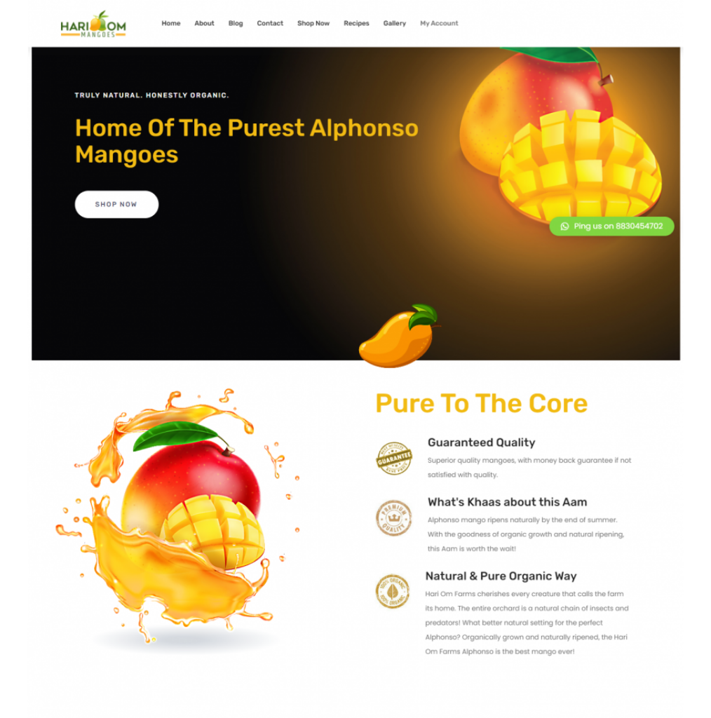 codempower- Best Website design company in UAE